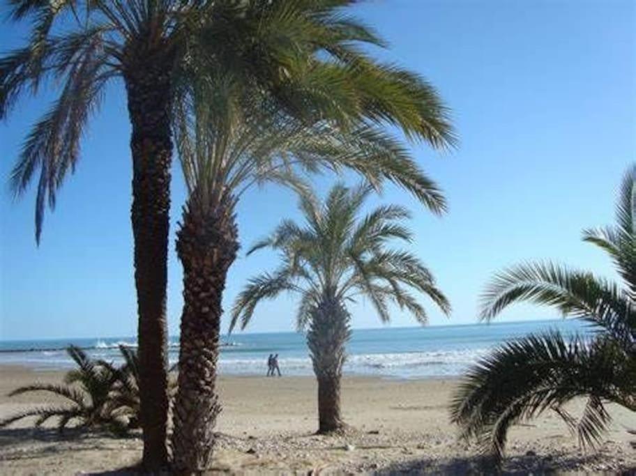 Appartamento Piso Centro Torreblanca Esterno foto